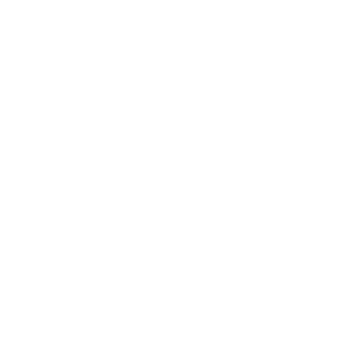 SINC Logo